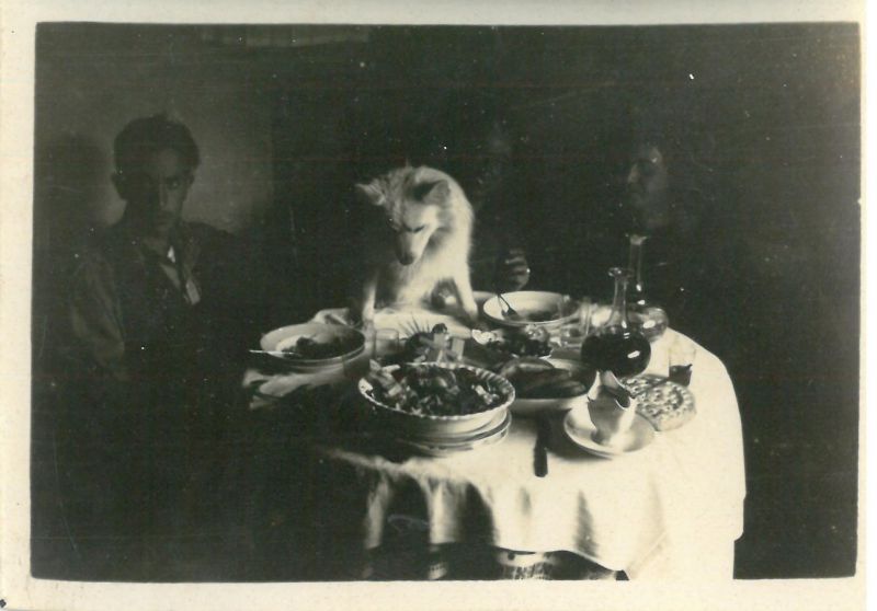 RFT.AVM.07.03.55