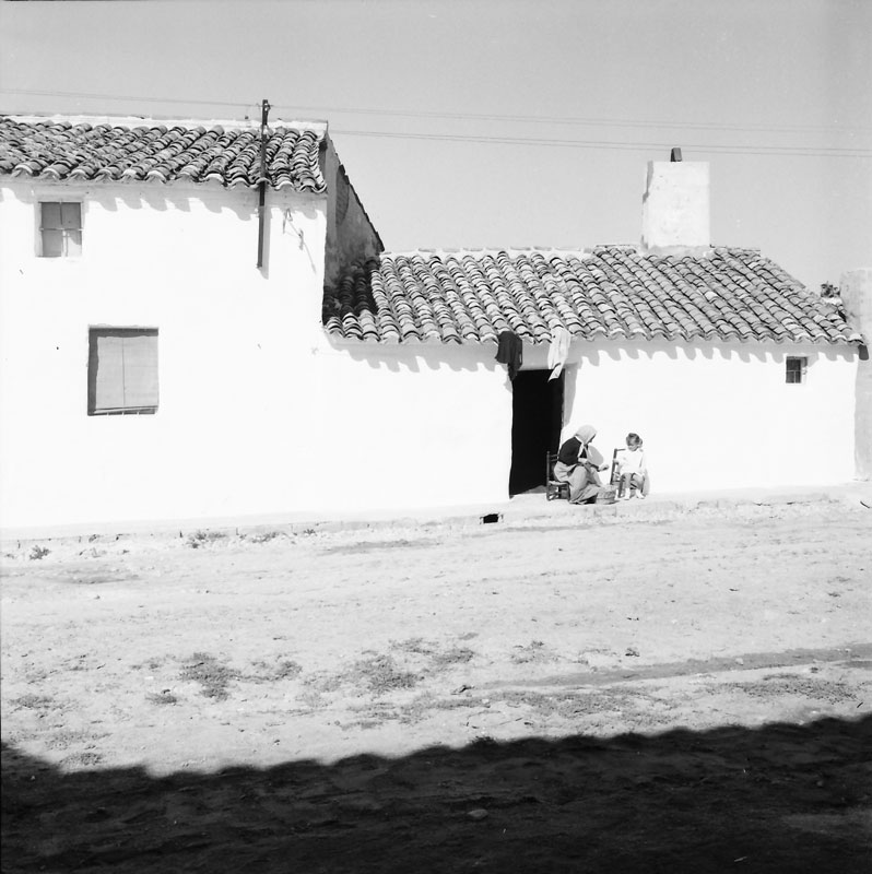 Novés 1969