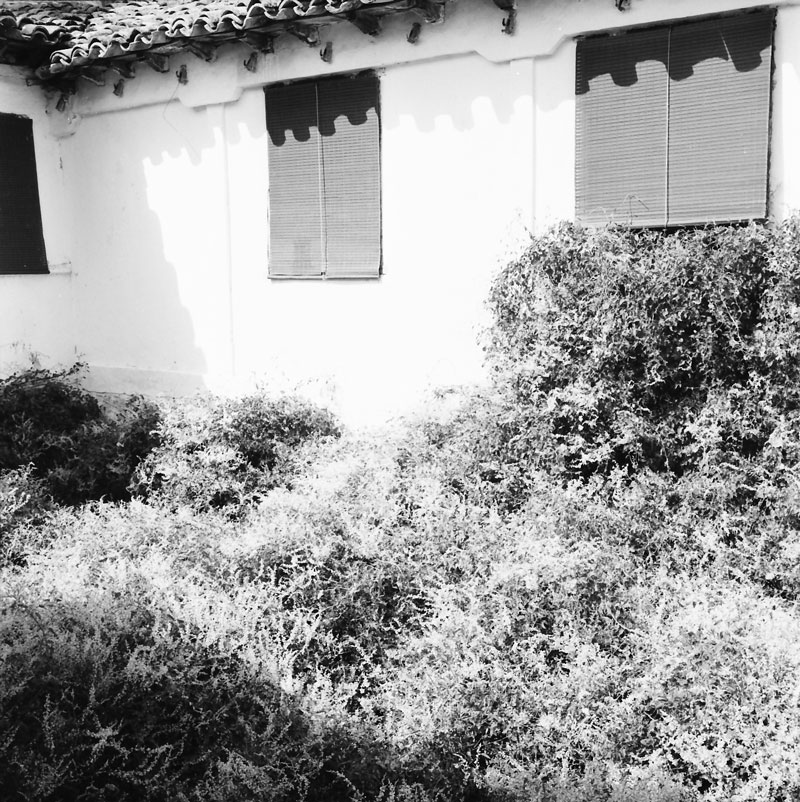 Ocaña 1967