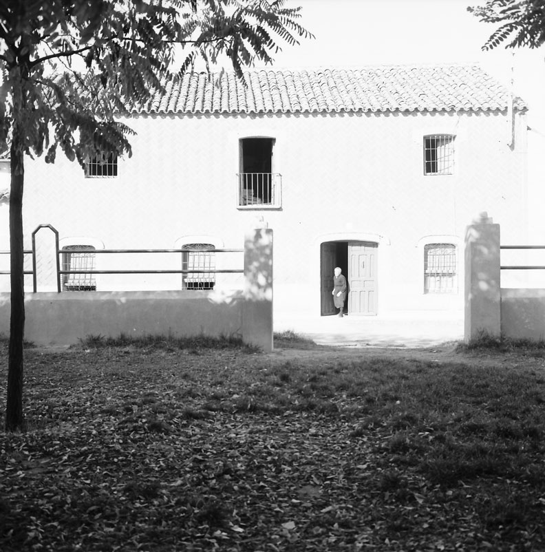 Alcabón 1969