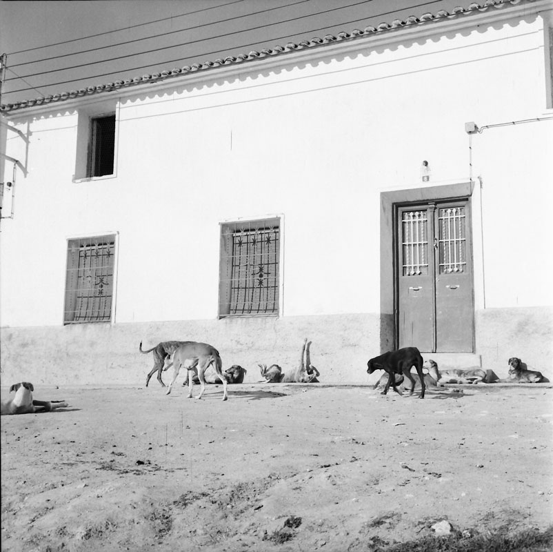 Carranque 1974