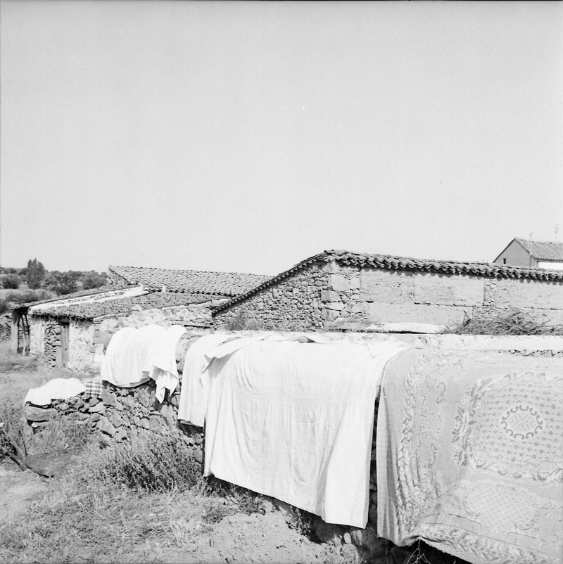 Pantoja 1973