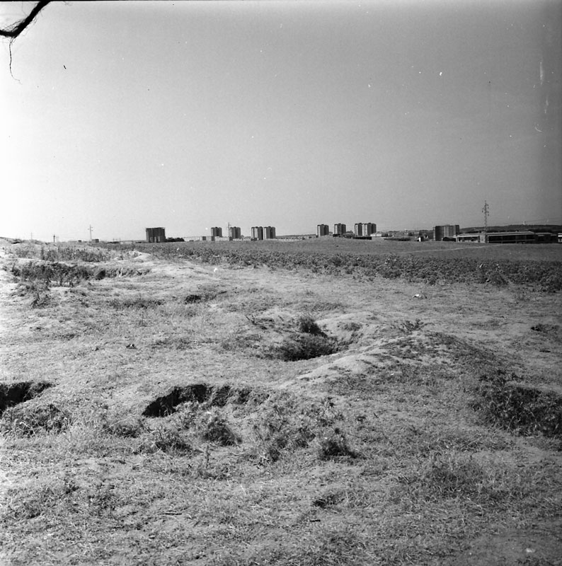 Ocaña 1964